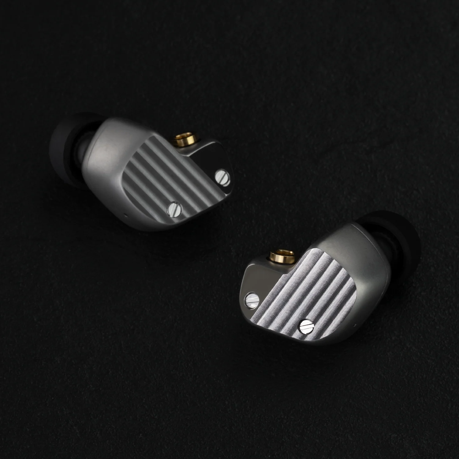 Final Audio Design A10000 + A10000 Collector's Edition — Earphone